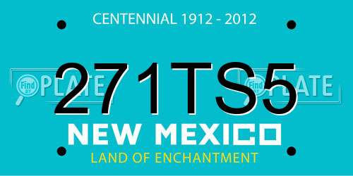 271TS5 New Mexico License Plate