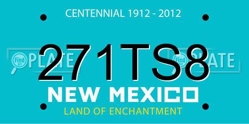 271TS8 New Mexico License Plate