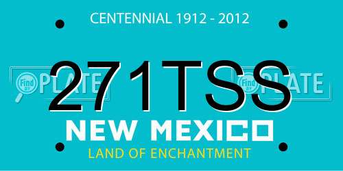 271TSS New Mexico License Plate