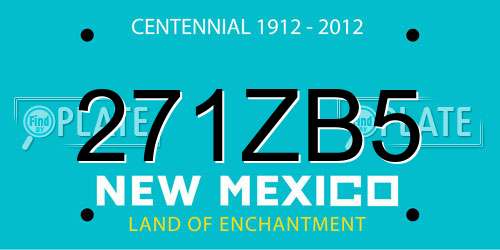 271ZB5 New Mexico License Plate