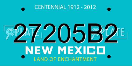 27205B2 New Mexico License Plate
