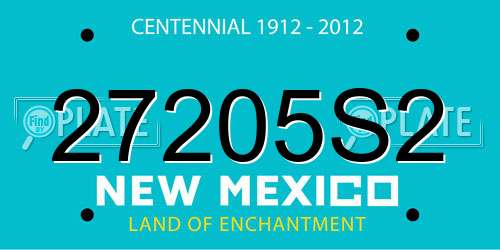 27205S2 New Mexico License Plate