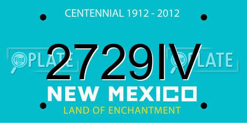 2729IV New Mexico License Plate
