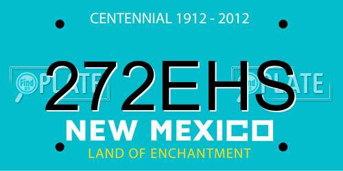 272EHS New Mexico License Plate