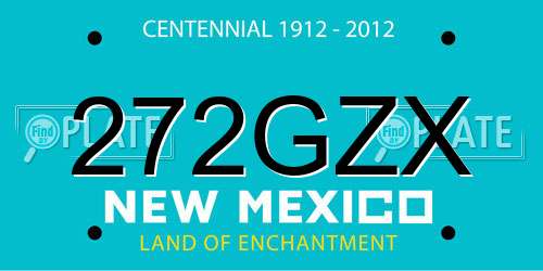 272GZX New Mexico License Plate