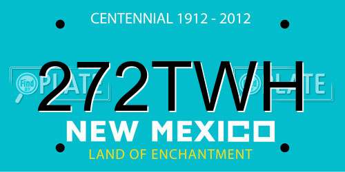 272TWH New Mexico License Plate