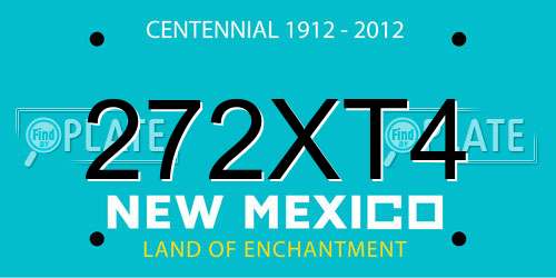 272XT4 New Mexico License Plate