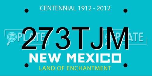 273TJM New Mexico License Plate