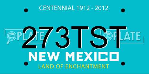 273TST New Mexico License Plate