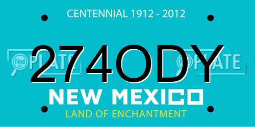 274ODY New Mexico License Plate