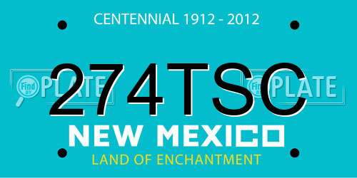 274TSC New Mexico License Plate