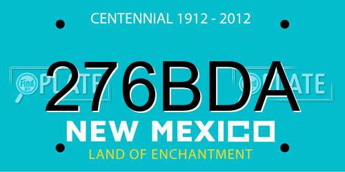 276BDA New Mexico License Plate