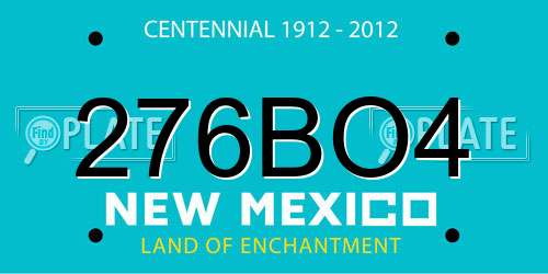 276BO4 New Mexico License Plate