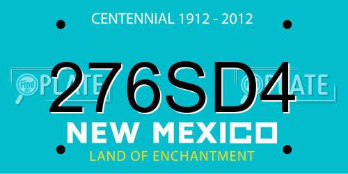 276SD4 New Mexico License Plate