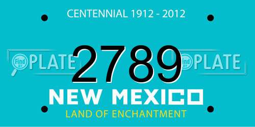 2789 New Mexico License Plate