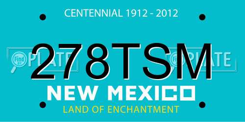 278TSM New Mexico License Plate