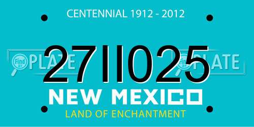 27II025 New Mexico License Plate
