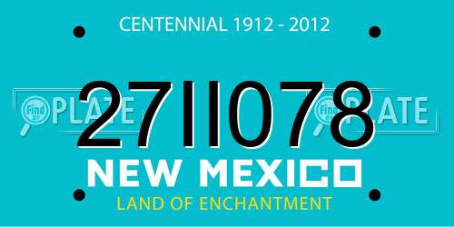 27II078 New Mexico License Plate