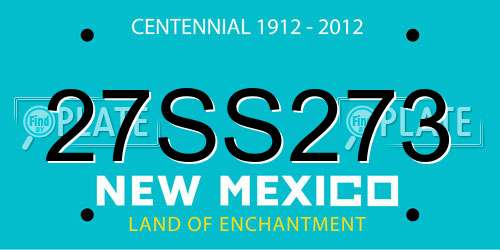 27SS273 New Mexico License Plate