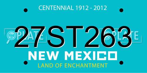 27ST263 New Mexico License Plate