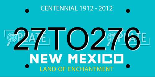 27TO276 New Mexico License Plate