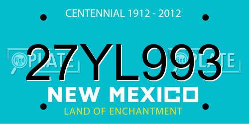 27YL993 New Mexico License Plate