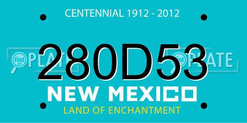 280D53 New Mexico License Plate