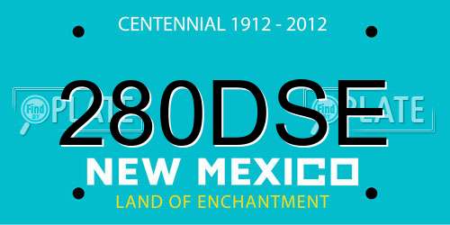 280DSE New Mexico License Plate