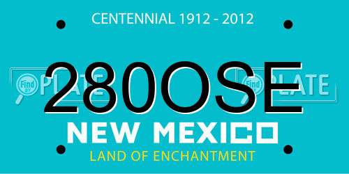 280OSE New Mexico License Plate