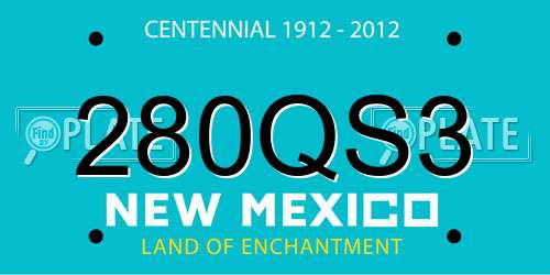 280QS3 New Mexico License Plate