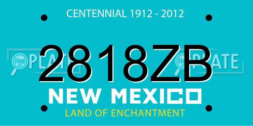 2818ZB New Mexico License Plate