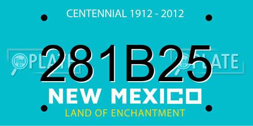 281B25 New Mexico License Plate
