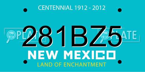 281BZ5 New Mexico License Plate