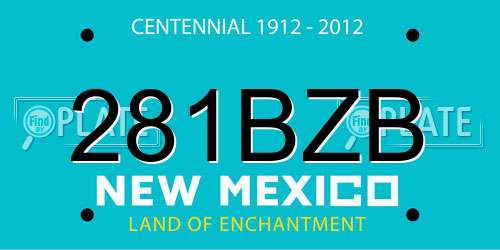 281BZB New Mexico License Plate