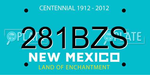 281BZS New Mexico License Plate