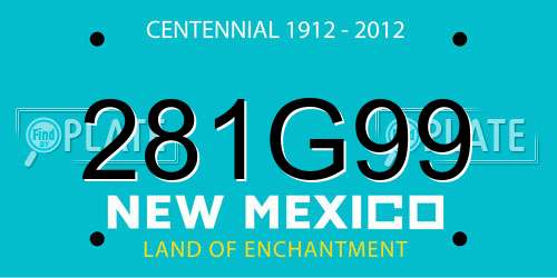 281G99 New Mexico License Plate