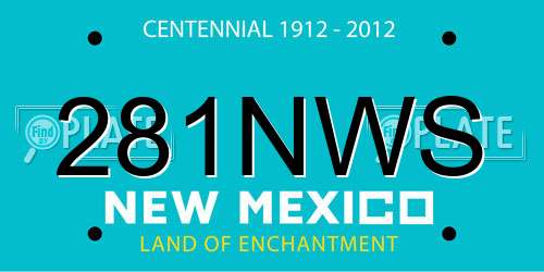 281NWS New Mexico License Plate