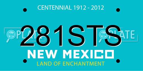 281STS New Mexico License Plate