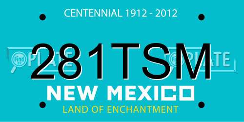 281TSM New Mexico License Plate
