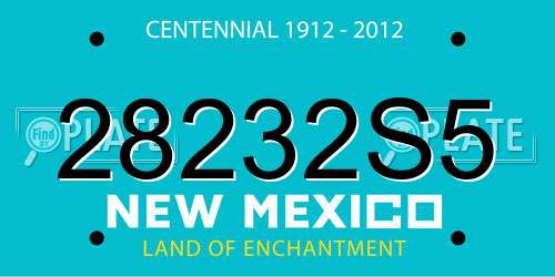 28232S5 New Mexico License Plate