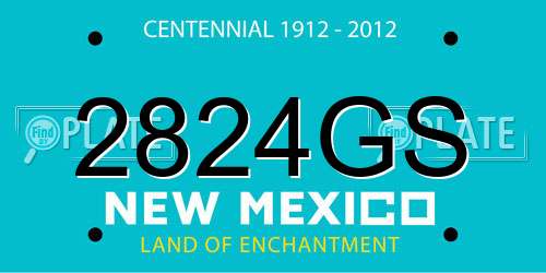 2824GS New Mexico License Plate