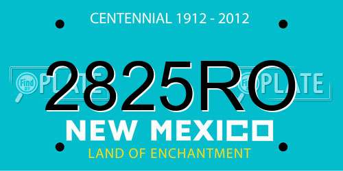 2825RO New Mexico License Plate