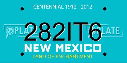 282IT6 New Mexico License Plate