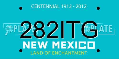 282ITG New Mexico License Plate