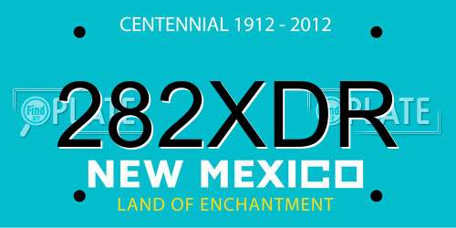 282XDR New Mexico License Plate