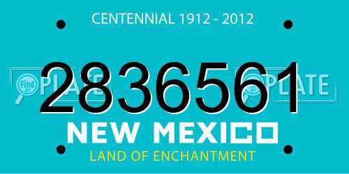 2836561 New Mexico License Plate