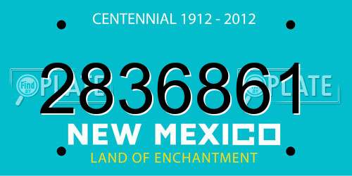 2836861 New Mexico License Plate