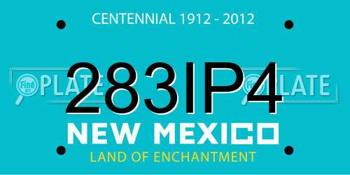 283IP4 New Mexico License Plate