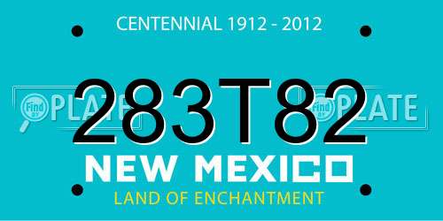 283T82 New Mexico License Plate