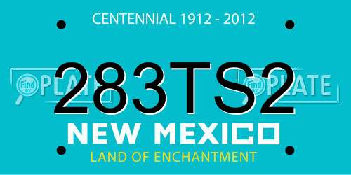 283TS2 New Mexico License Plate